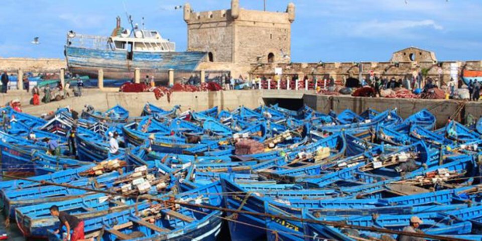 Pesca en Essaouira: un año récord con un +25% de desembarques