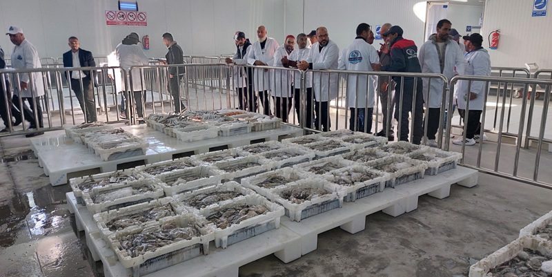 Le port de Mehdia se dote d’une halle aux poissons nouvelle génération