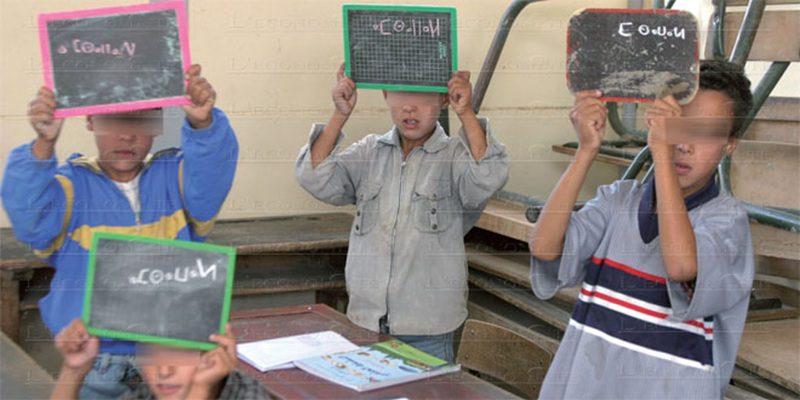 Langue amazighe : Plus de 3.000 enseignants du primaire en classe bilingue