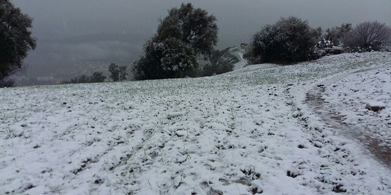 Vague de froid et chutes de neige dans plusieurs provinces du Royaume