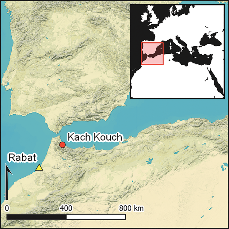 Kach Kouch, premier village de l’âge du bronze au Maghreb avant les Phéniciens