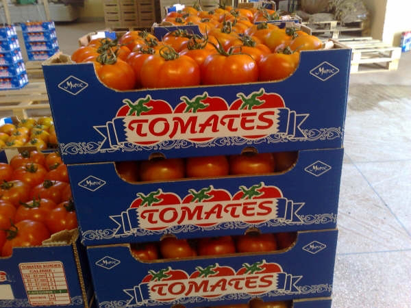 Les tomates marocaines dans le viseur