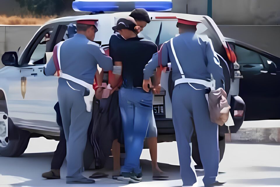 Le Gendarme Targist a réservé un ton de haschisch et arrête des personnes recherchées dans les affaires criminelles