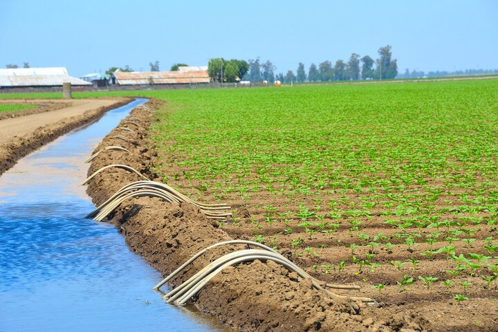 Amélioration relative du secteur agricole au Maroc, malgré la répétition des années de sécheresse