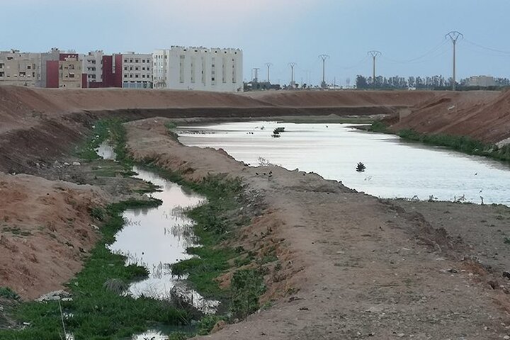 Le gaspillage de fuite d'eau menace la santé des résidents du quartier d'Al-Raha