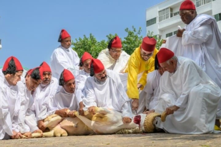 Le commandant des fidèles annule le rituel d'Eid al -adha pour cette année