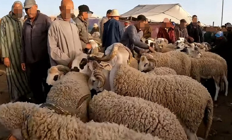 Après l'abolition d'Eid Al -Adha, le parti de l'indépendance appelle un programme urgent pour remédier à la compétence dans le troupeau de bétail