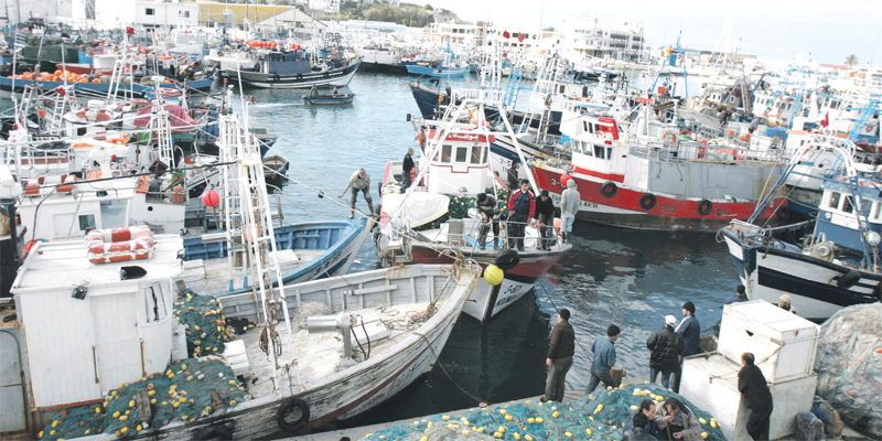 Ports situés sur la Méditerranée: Progression des débarquements en janvier