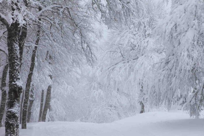 Neige et fortes averses orageuses jusqu’à jeudi