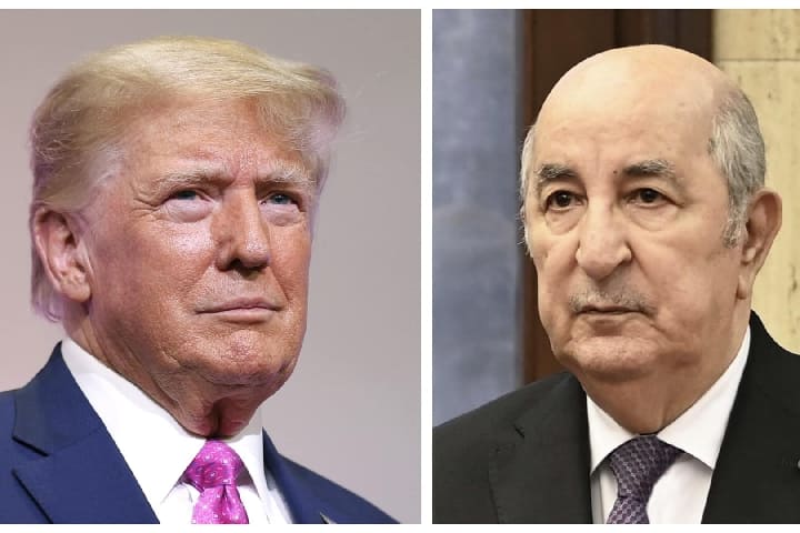 L’Algérie offre ses ressources minérales au président Trump pour éviter de tomber dans les ennuis de Zelinski