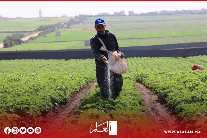 Les dernières pluies sauvent-elles la saison agricole au Maroc?