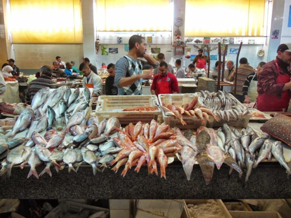 Les déséquilibres du marché des poissons dans Marrakech payent des droits pour exiger l’ouverture et la responsabilité des fonctionnaires