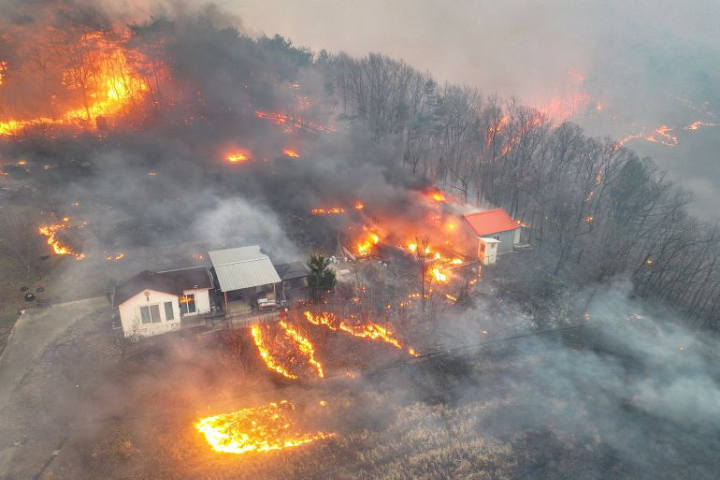 18 personnes ont été tuées par des incendies de forêt en Corée du Sud