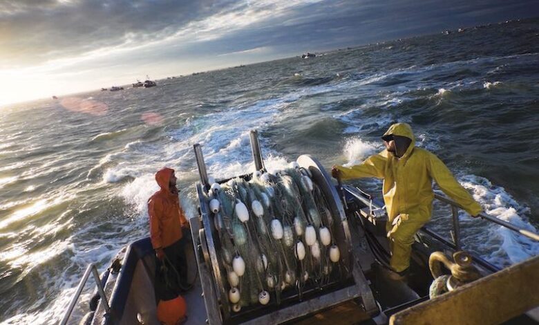 La Russie en pourparlers avec le Maroc pour un nouvel accord de pêche incluant le Sahara