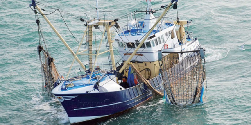 Pêche : hausse de la valeur des produits commercialisés à fin février