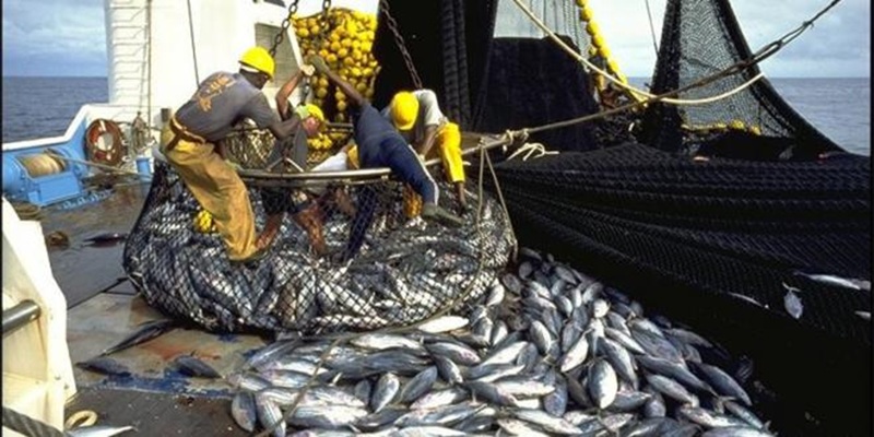 Port de Tanger : Baisse des débarquements à fin février, pas de la valeur