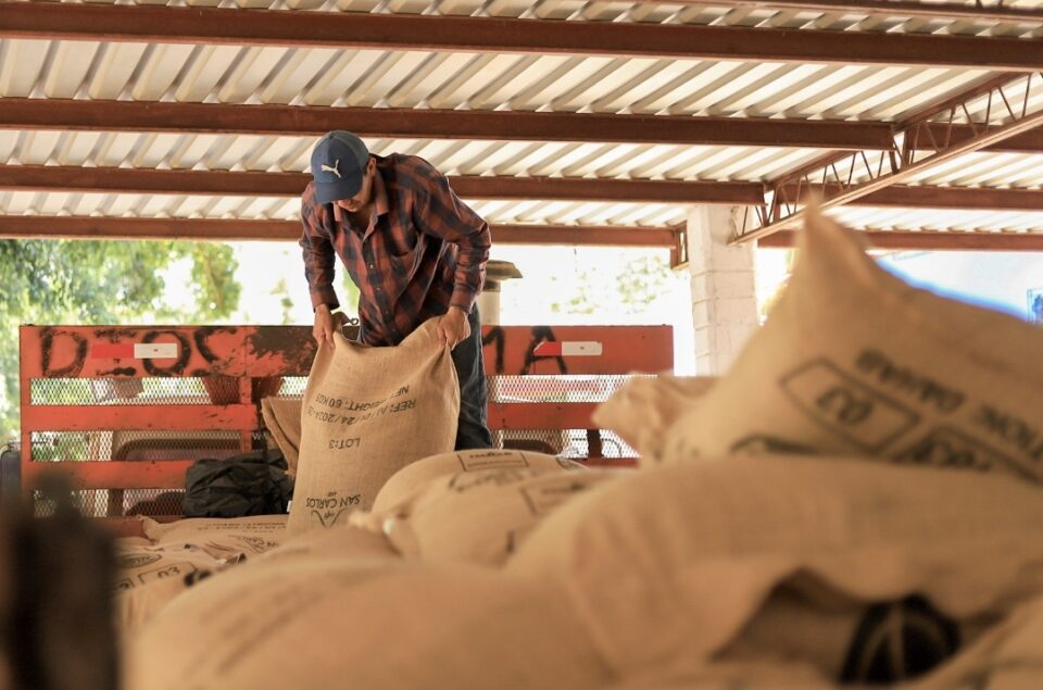 Le Salvador exporte du café au Maroc pour la première fois