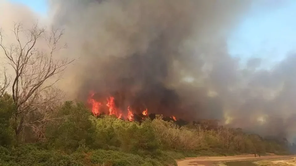 Un suspect arrêté pour incendie volontaire dans la forêt de Houara