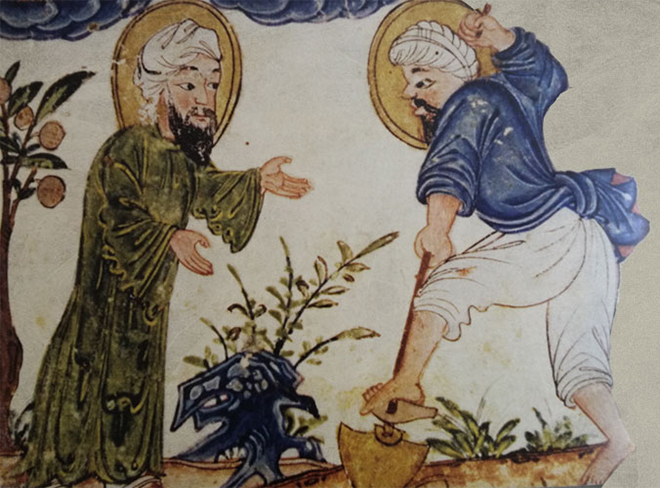 Comment le savoir-faire arabe a façonné l’agriculture d’Al-Andalus