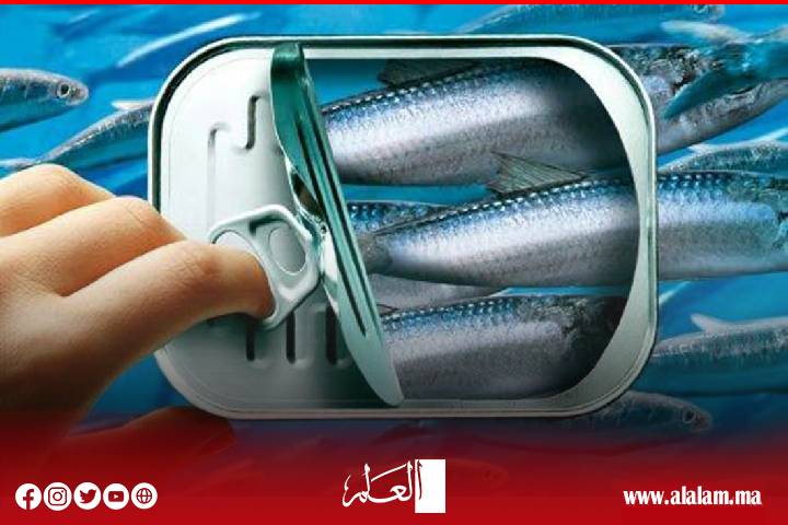 Les prix du poisson sont en augmentation continue et l'épaisseur des pauvres est rare sur les marchés