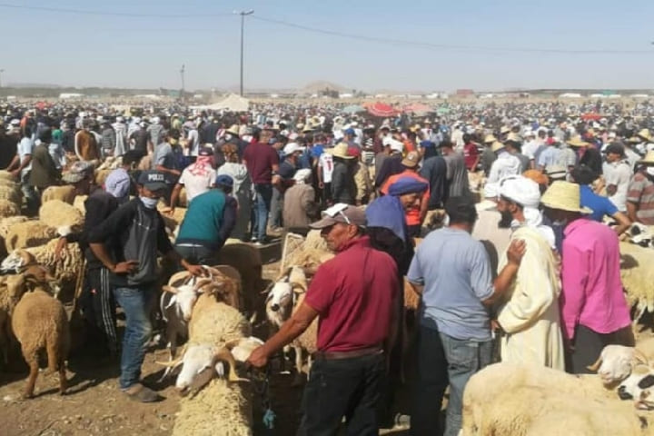 Malgré la décision d’annuler, la demande de sacrifices et les prix élevés de la viande confond les marchés