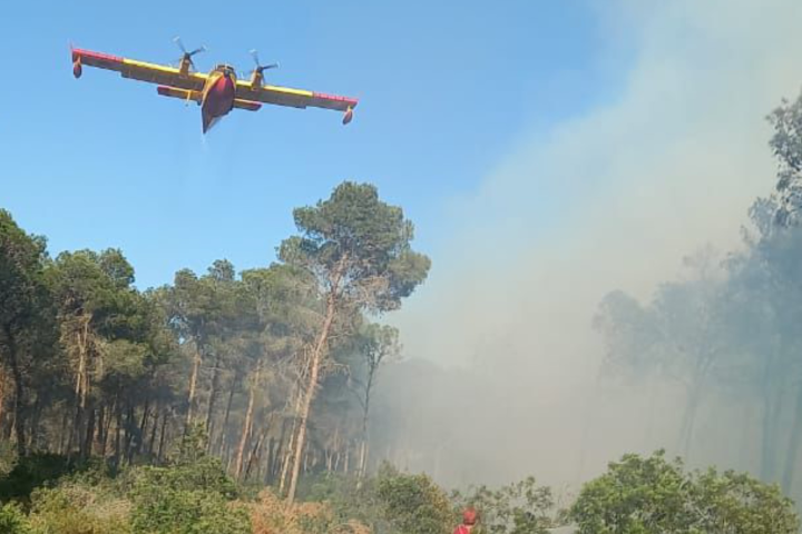 Les équipes d’incendie courent contre le temps pour éteindre l’incendie de la forêt « Hawara », la périphérie de Tanger