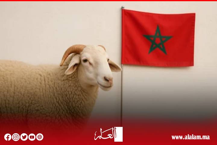 La Fédération générale des paysans émet un « appel d’Agadir »