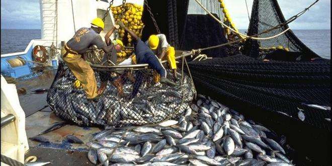 Ports méditerranéens : +5 % de débarquements de pêche à fin avril