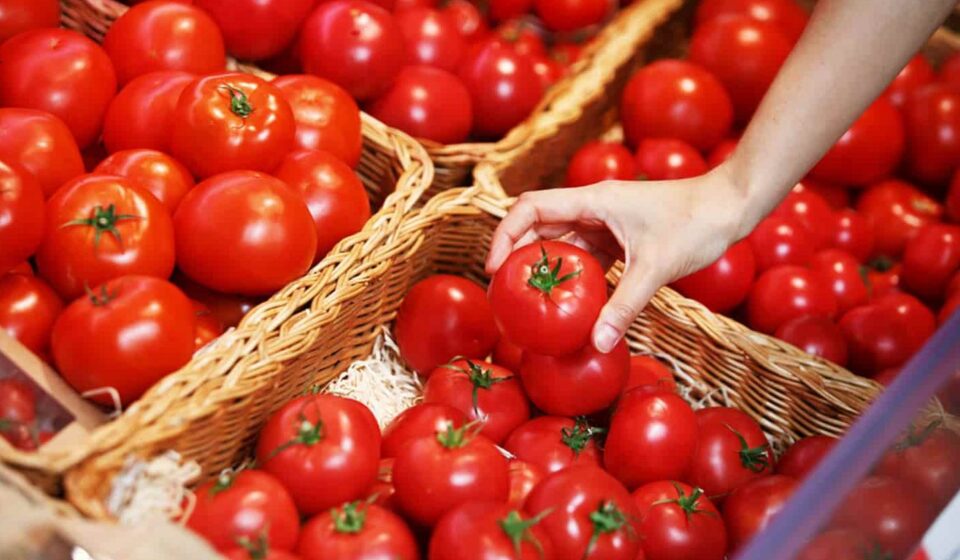 Importations records de tomates (37,9%) depuis le Maroc