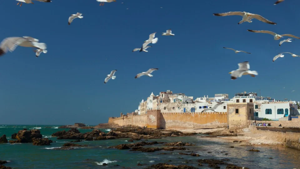 À Nice, le Maroc porte la voix de l’Afrique pour la protection des océans