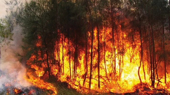 8 incendies maîtrisés en 24 heures, 20 hectares touchés (ANEF)