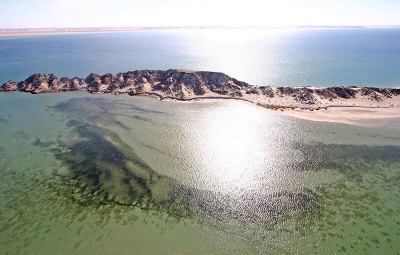 L’île du dragon à Dakhla, la beauté à l’état brut