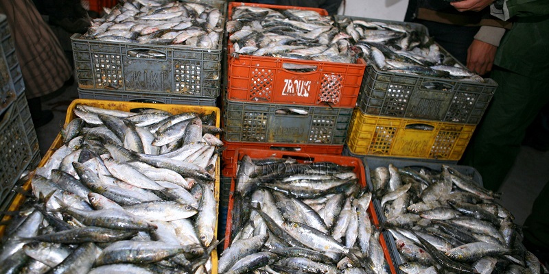 Destruction de ressources halieutiques : Le Secrétariat d’État de la pêche maritime dément