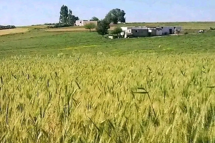 على هامش المؤتمر السادس للاتحاد العام للفلاحين بالمغرب..