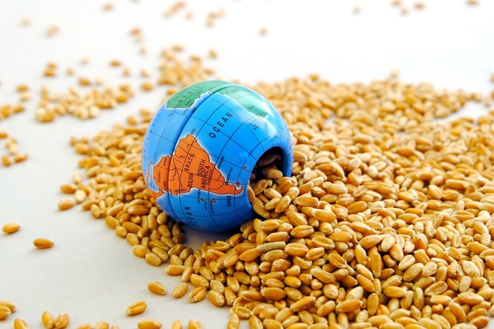 Le Maroc est en train de rédiger la carte de la sécurité alimentaire en Europe avec ses produits agricoles