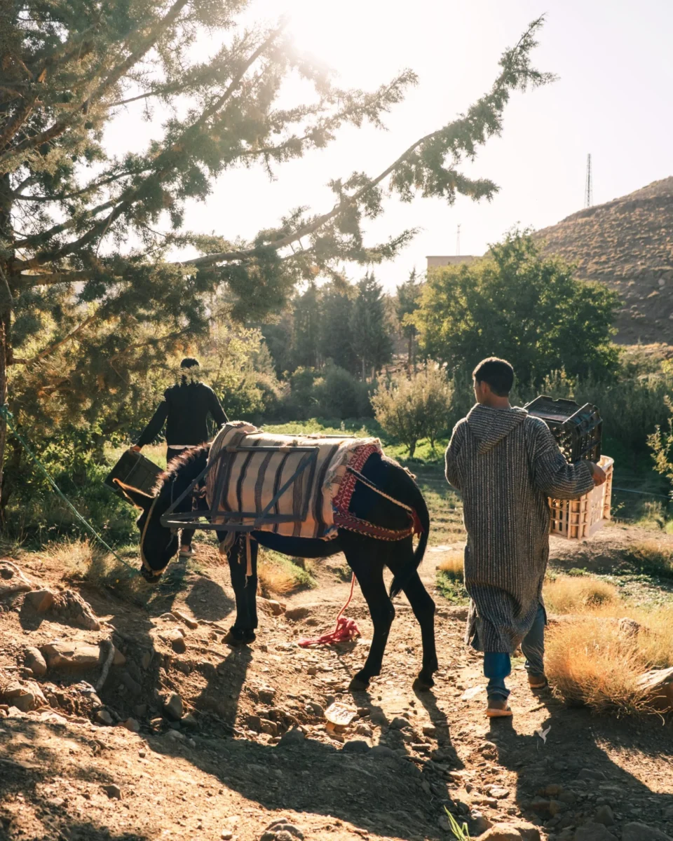 L’essor touristique marocain interroge sur la nécessité d’un tourisme responsable