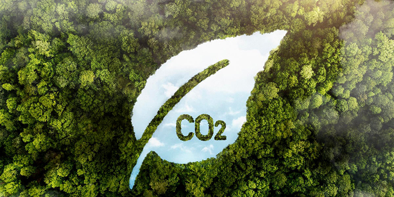 Dakhla : climat, énergie et neutralité carbone au cœur d’un atelier régional