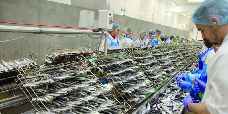 Conserve de poisson : La filière tire la sonnette d’alarme