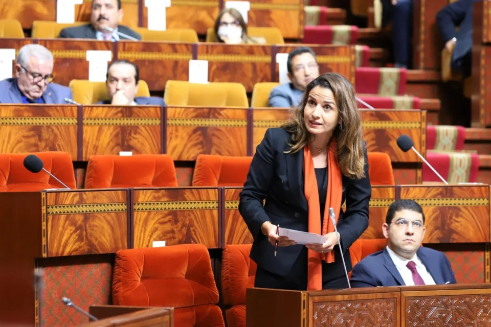 Leila Benali appelle à allouer 1% des investissements à la recherche sur les énergies renouvelables