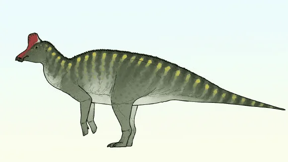 Une découverte qui enrichit la liste de dinosaures à bec de canard au Maroc