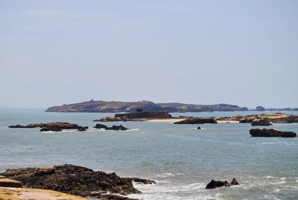 Des fossiles découverts sur une île se révèlent être antérieurs à l’île elle-même