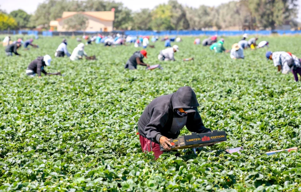500 000 travailleurs étrangers d’ici 2028 pour répondre à la pénurie de main-d’œuvre