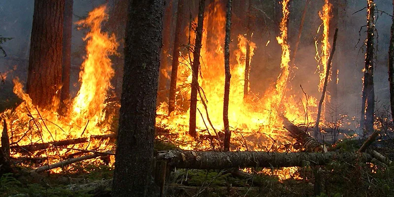 Quatre avions Canadair pour maîtriser un feu de forêt