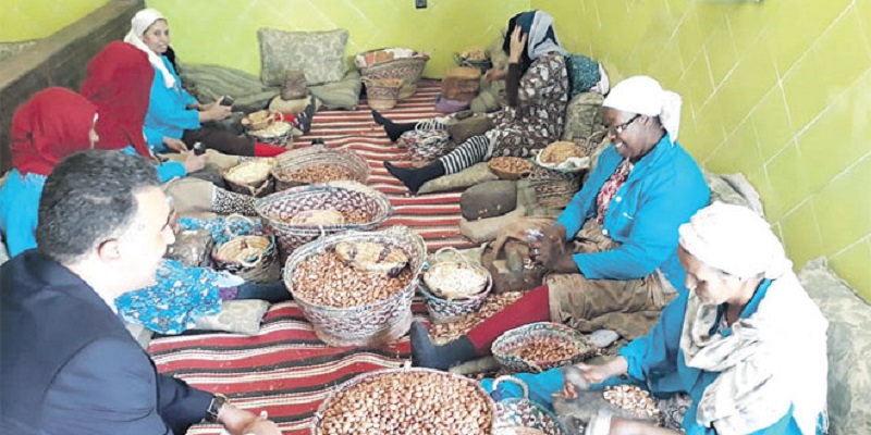 Ouezzane : L’INDH appuie 94 projets de coopératives