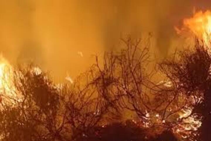 Un terrible feu secoue le rond-point