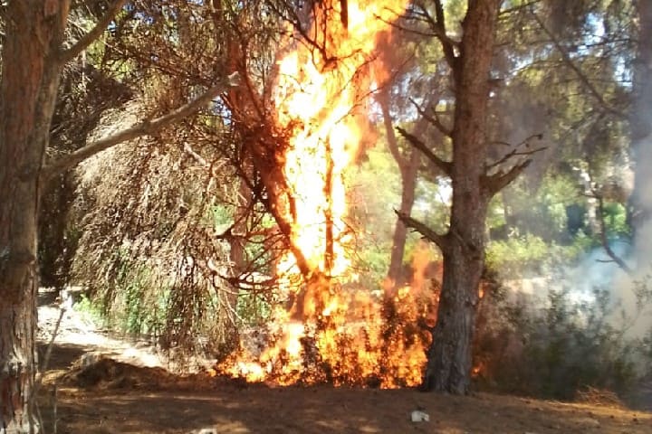 Al -Hoceima .. tente d’éteindre un incendie dans la forêt de la plage de Shore près de l’hôtel classifié