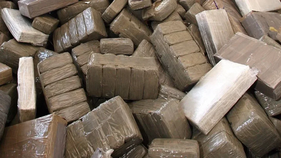 Saisie de plus de 4 tonnes de chira dans un camion à destination de l’Europe