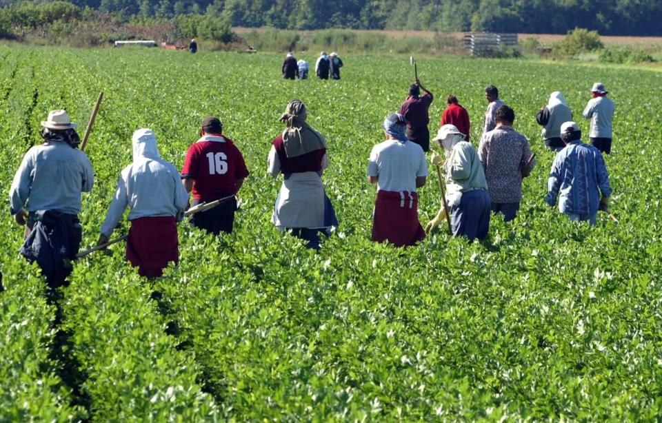 100 M€ de la BAD pour une agriculture solidaire inclusive des femmes et des jeunes