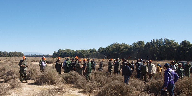 Chasse : Le bilan de la saison en chiffres