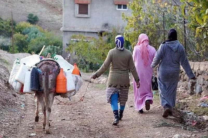 Près d’un tiers des jeunes femmes rurales sont des NEET (rapport)